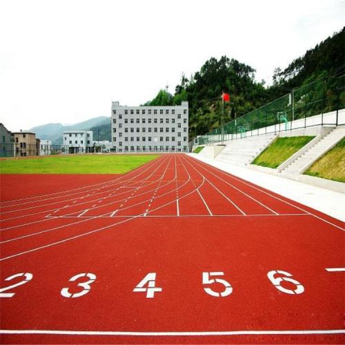 臨武塑膠跑道廠家