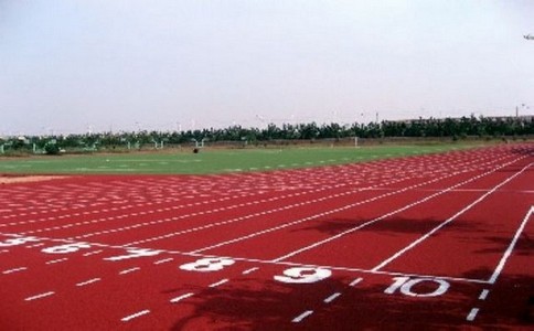 塑膠球場